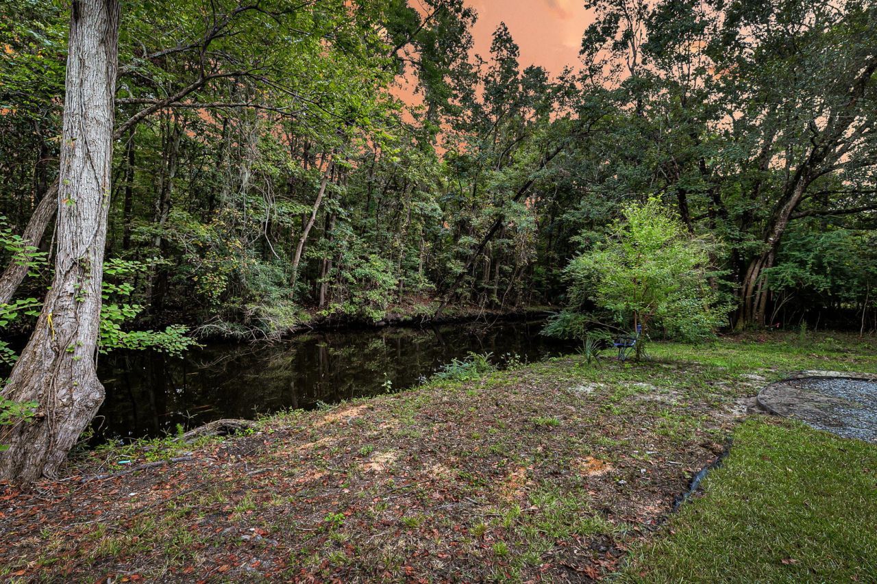 1195 Michelle Lane Photo 51