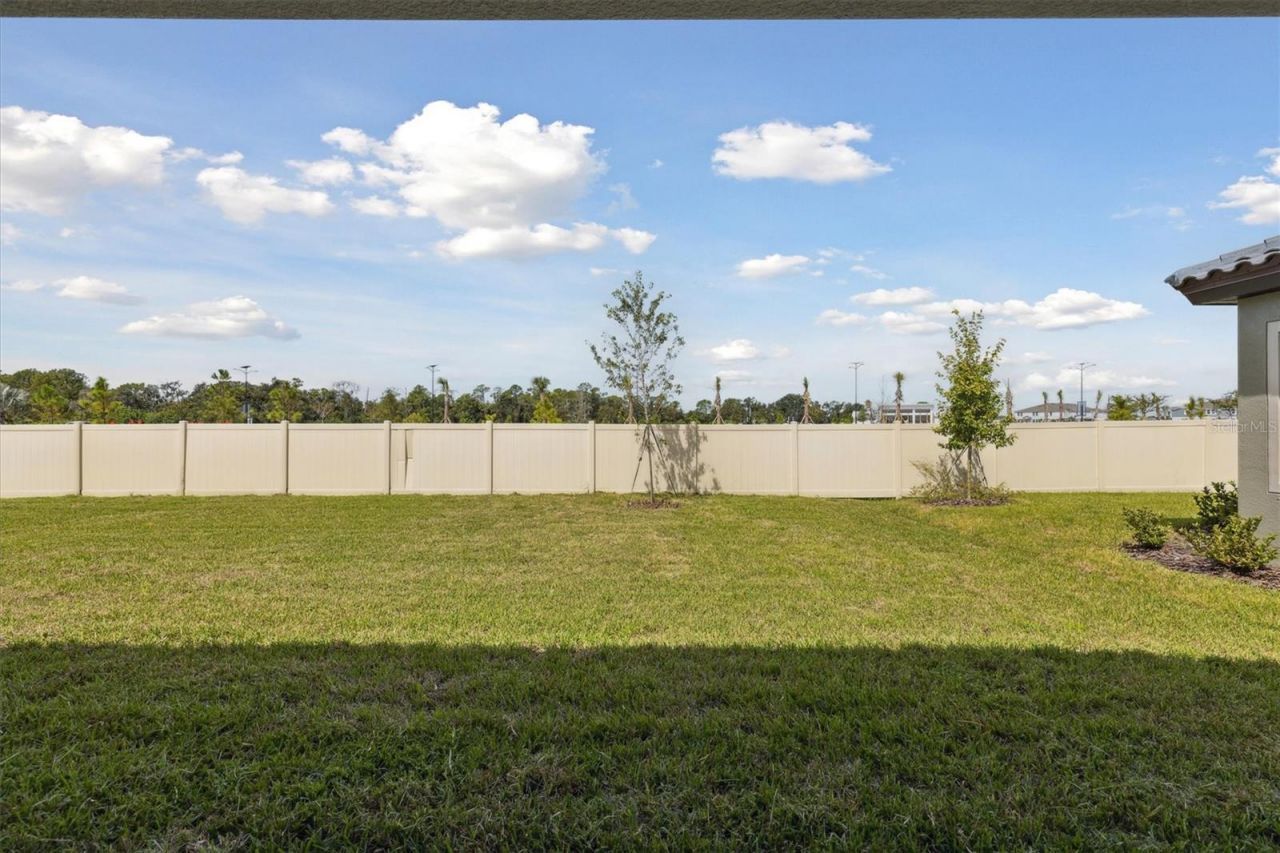 8517 Dove Bog Terrace, Parrish, FL 34219 Photo