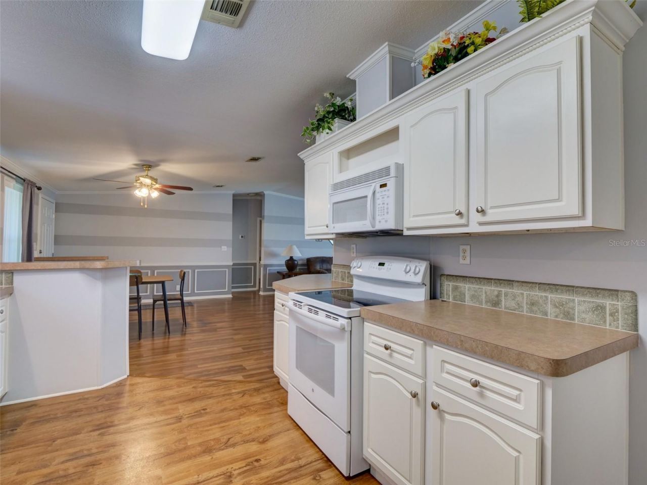 4106 Greenbluff Rd, Unit 824, Zellwood, FL 32798 Photo