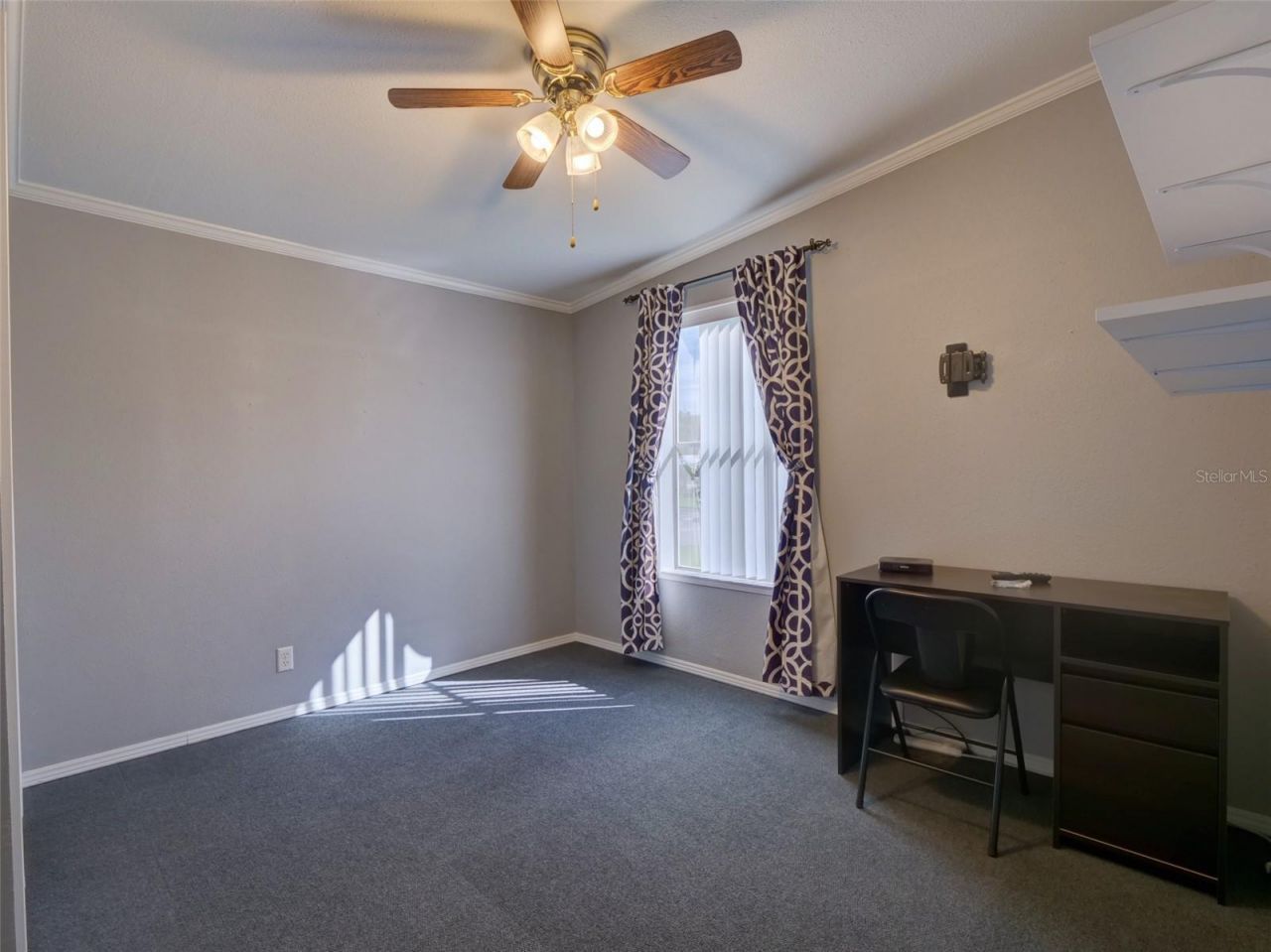 4106 Greenbluff Rd, Unit 824, Zellwood, FL 32798 Photo