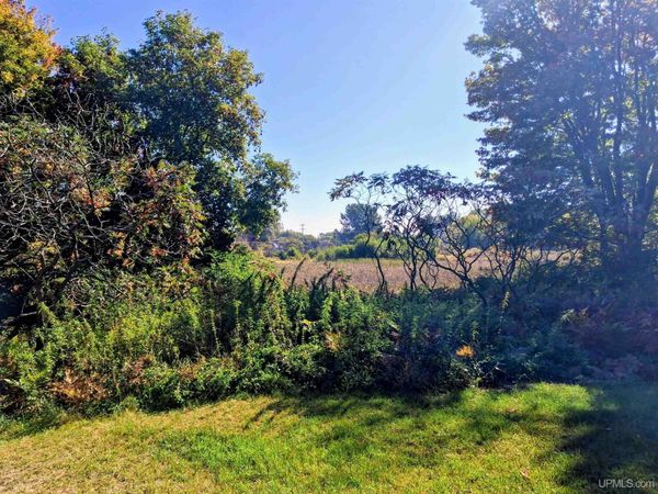 N 3rd Street, Wells Twp, MI 49894