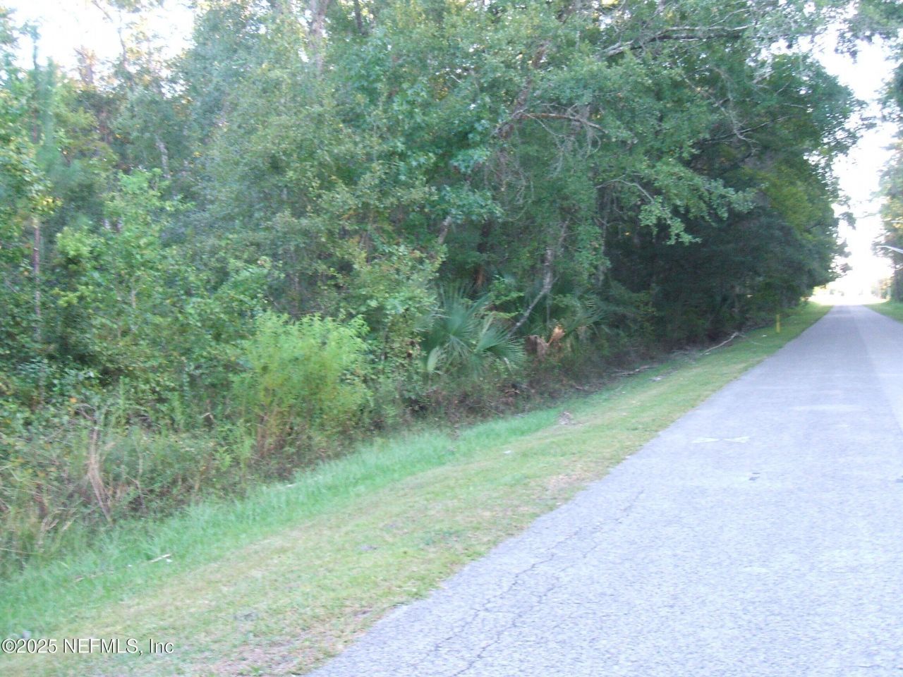 0 Owens Road, Jacksonville, FL 32218 Photo