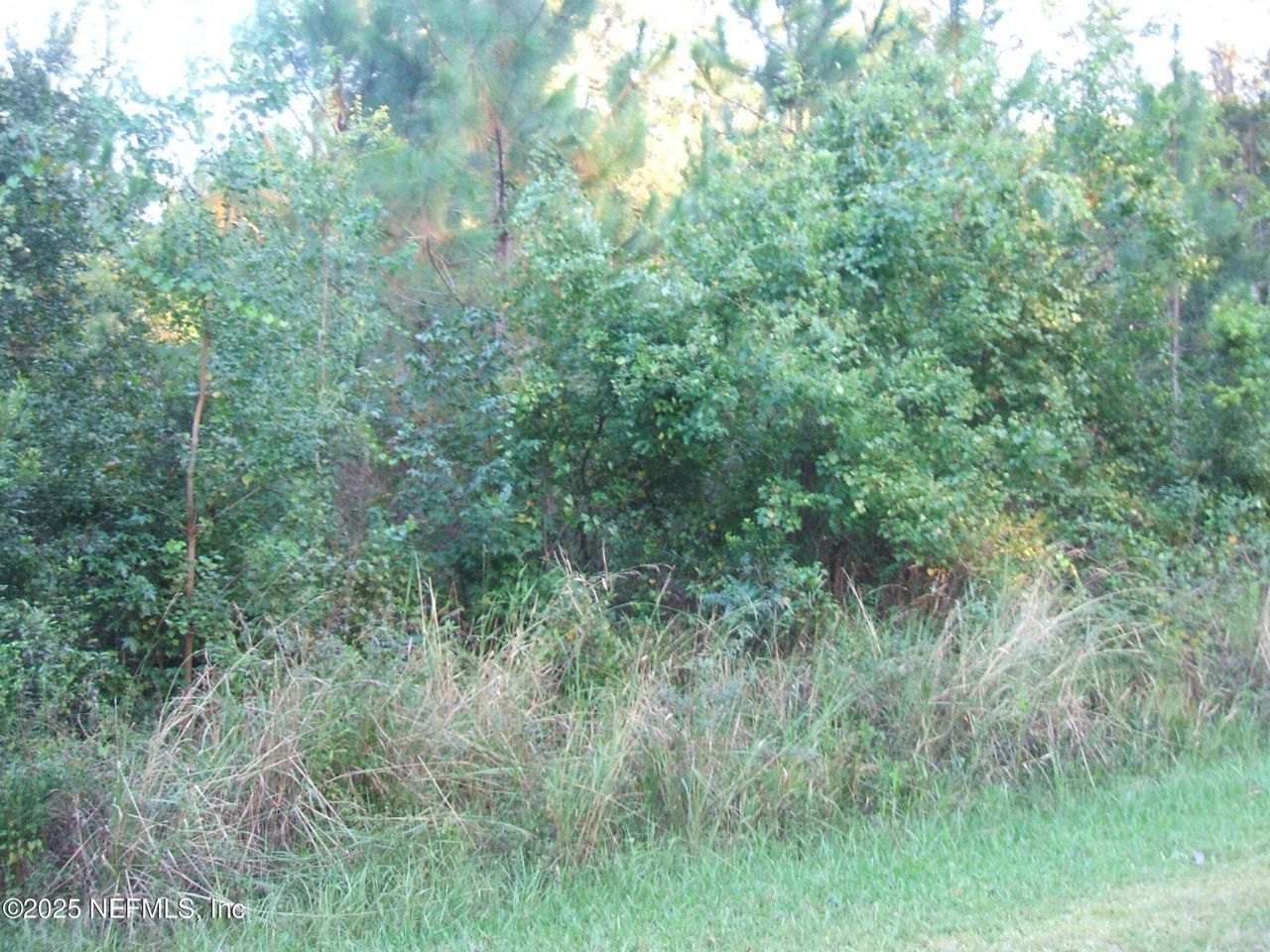 0 Owens Road, Jacksonville, FL 32218 Photo