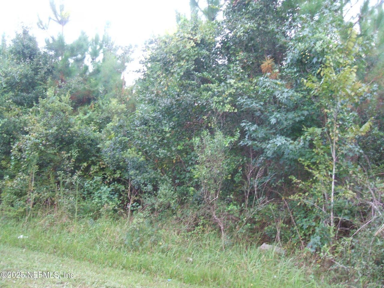 0 Owens Road, Jacksonville, FL 32218 Photo