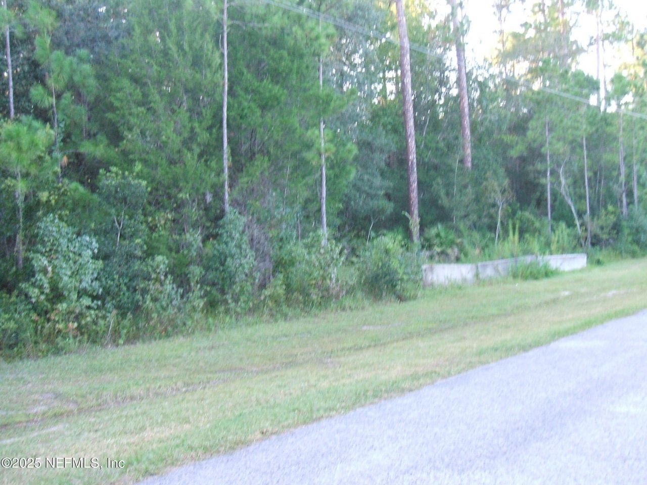 0 Owens Road, Jacksonville, FL 32218 Photo