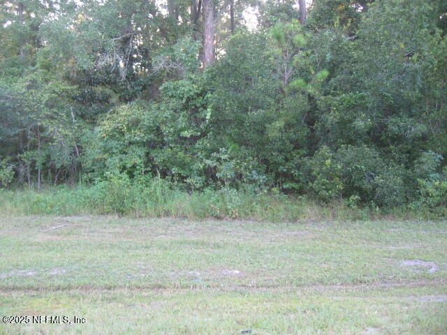 0 Owens Road, Jacksonville, FL 32218 Photo