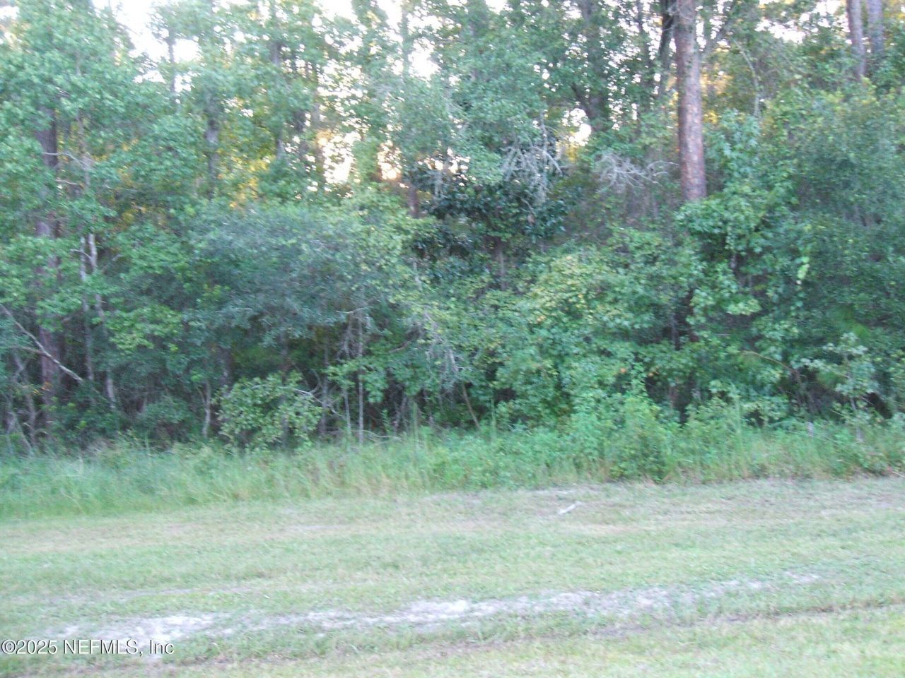 0 Owens Road, Jacksonville, FL 32218 Photo