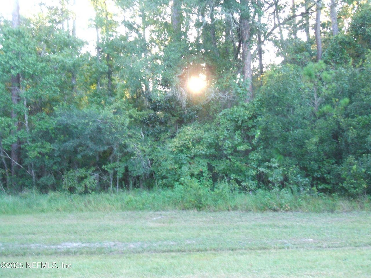 0 Owens Road, Jacksonville, FL 32218 Photo