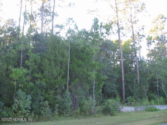 0 Owens Road, Jacksonville, FL 32218 Photo