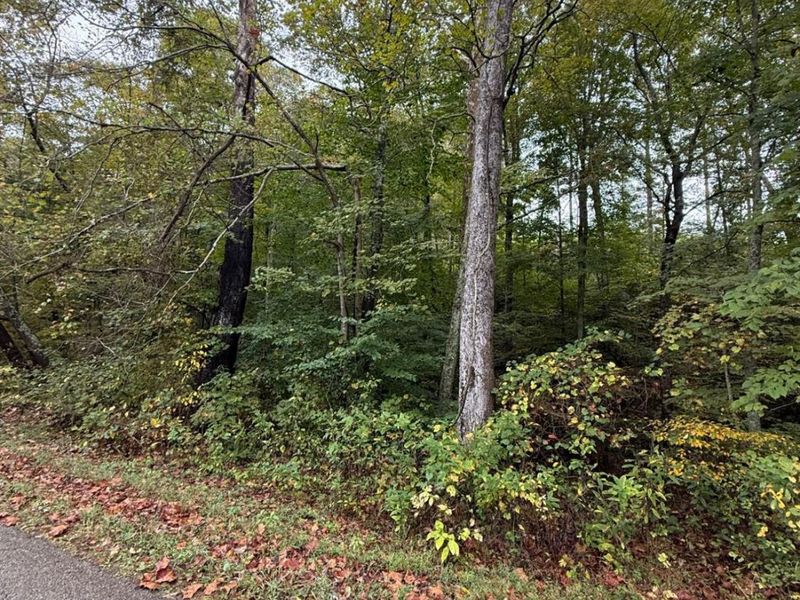 8.307 Ac Churn Creek Road, Jefferson Twp, OH 45616 Photo 4