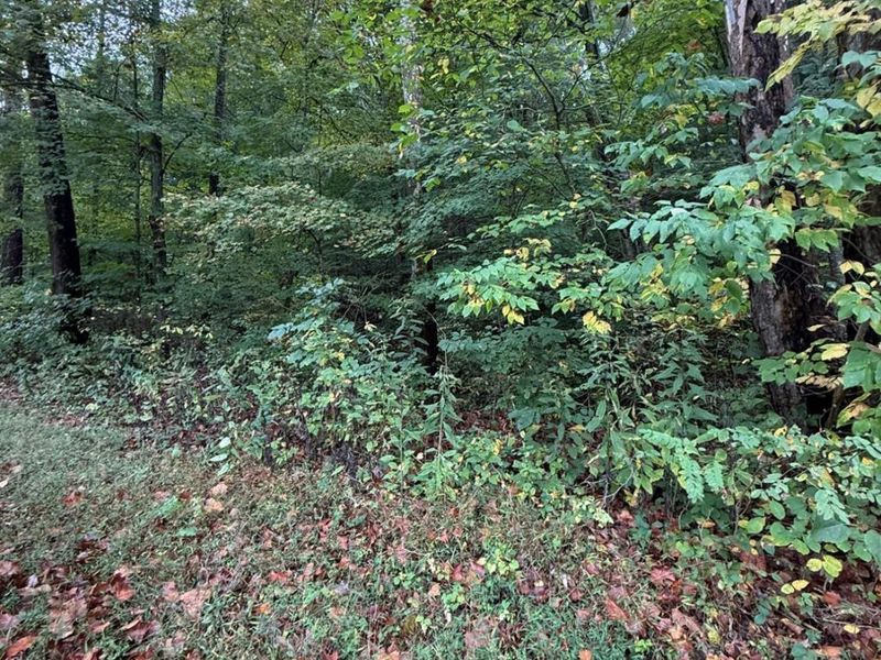 8.307 Ac Churn Creek Road, Jefferson Twp, OH 45616 Photo 5