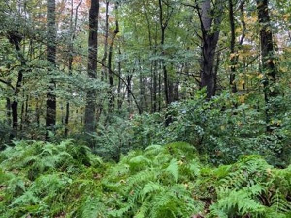 0 Blackmer Rd, Southbridge, MA 01550