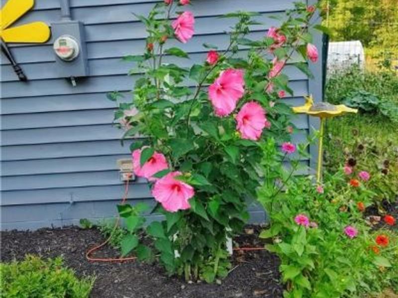 4414 CUMBERLAND Road SW, Sherrodsville, OH 44675 Photo 16