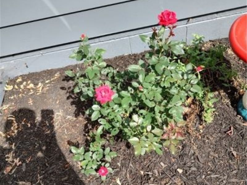 4414 CUMBERLAND Road SW, Sherrodsville, OH 44675 Photo 17