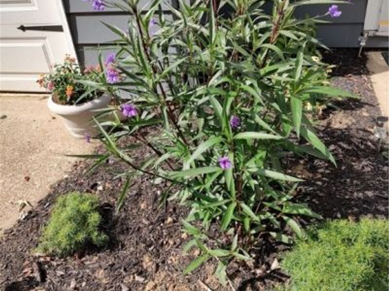 4414 CUMBERLAND Road SW, Sherrodsville, OH 44675 Photo 18