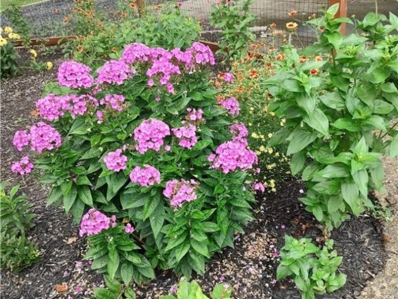 4414 CUMBERLAND Road SW, Sherrodsville, OH 44675 Photo 20