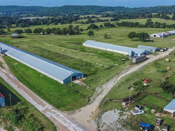 1941 MC 5002, Yellville, AR 72687