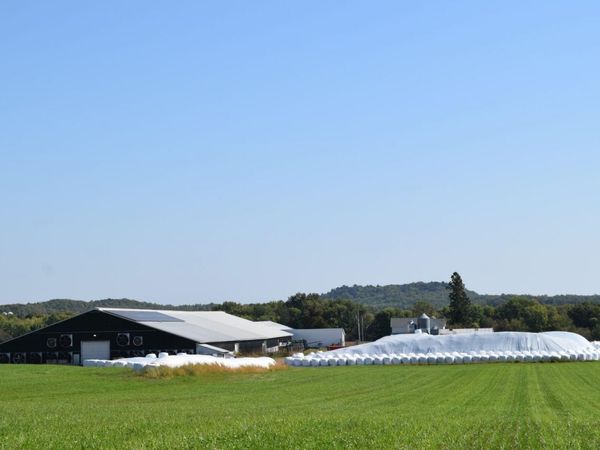 S7450 Morning Crest Drive, Augusta, WI 54722