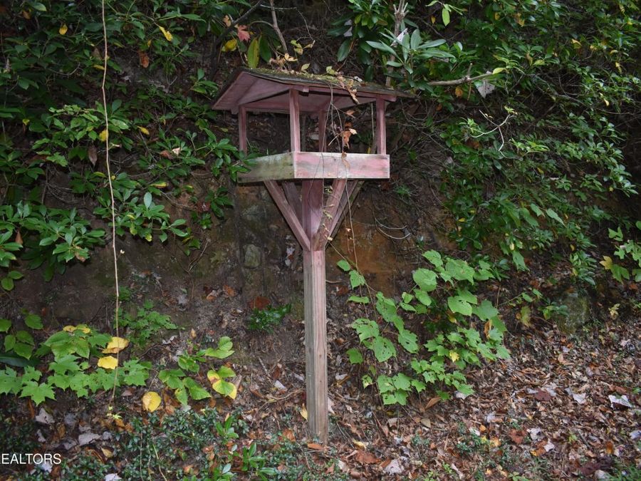 Property Image 48