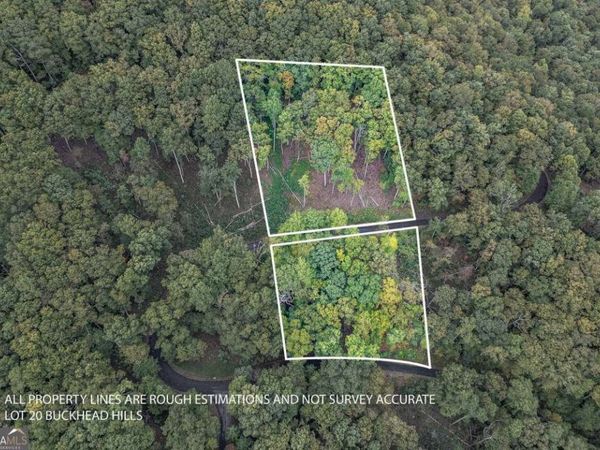 LOT 20 Buckhead Hills, Hiawassee, GA 30546