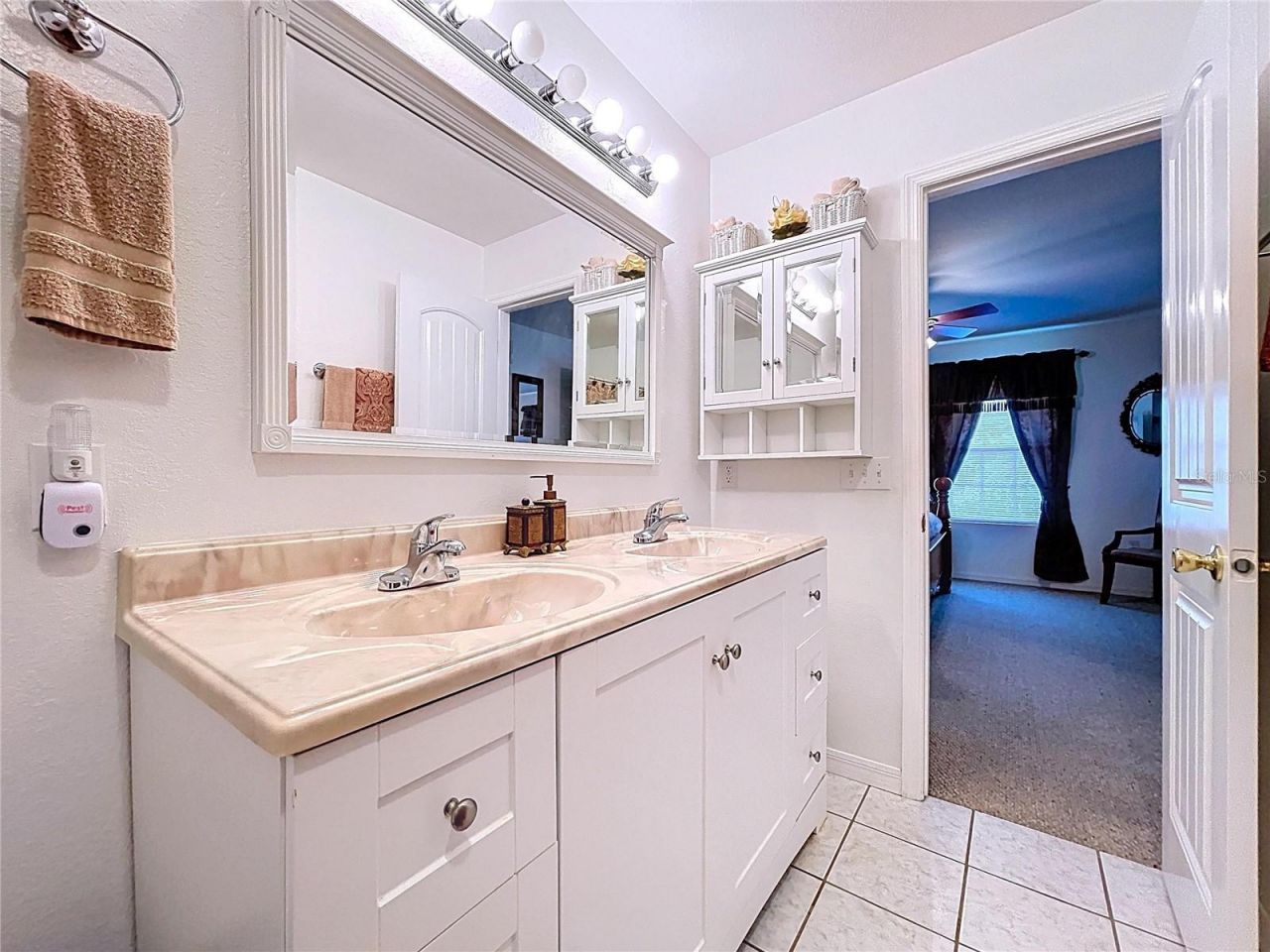 7347 Packingham Drive, Webster, FL 33597 Photo