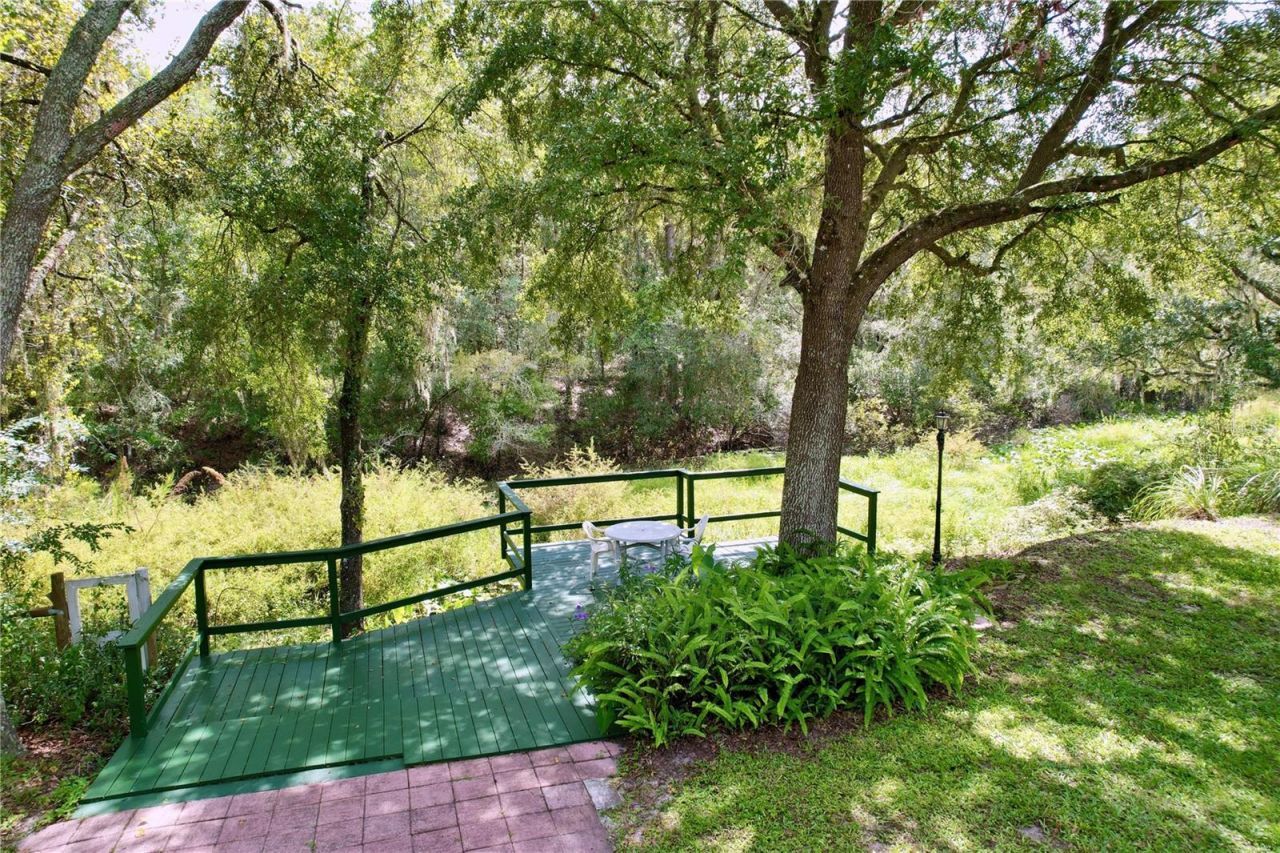 7347 Packingham Drive, Webster, FL 33597 Photo