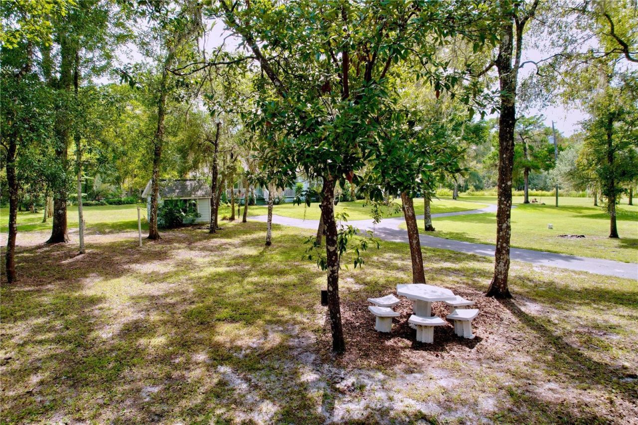 7347 Packingham Drive, Webster, FL 33597 Photo