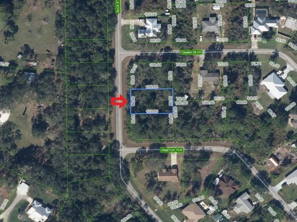 1541 BUCK STREET, LAKE PLACID, FL 33852