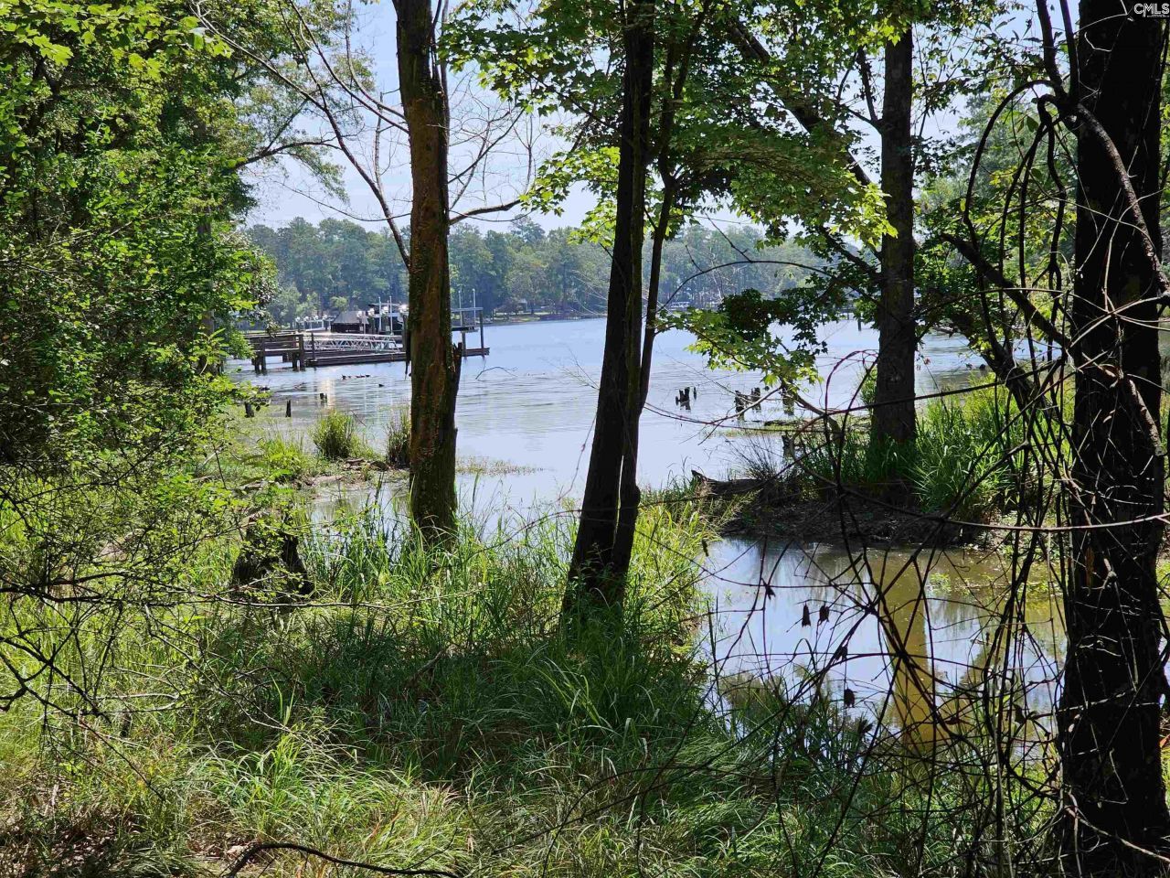 0 Stewart Landing Drive Photo 5