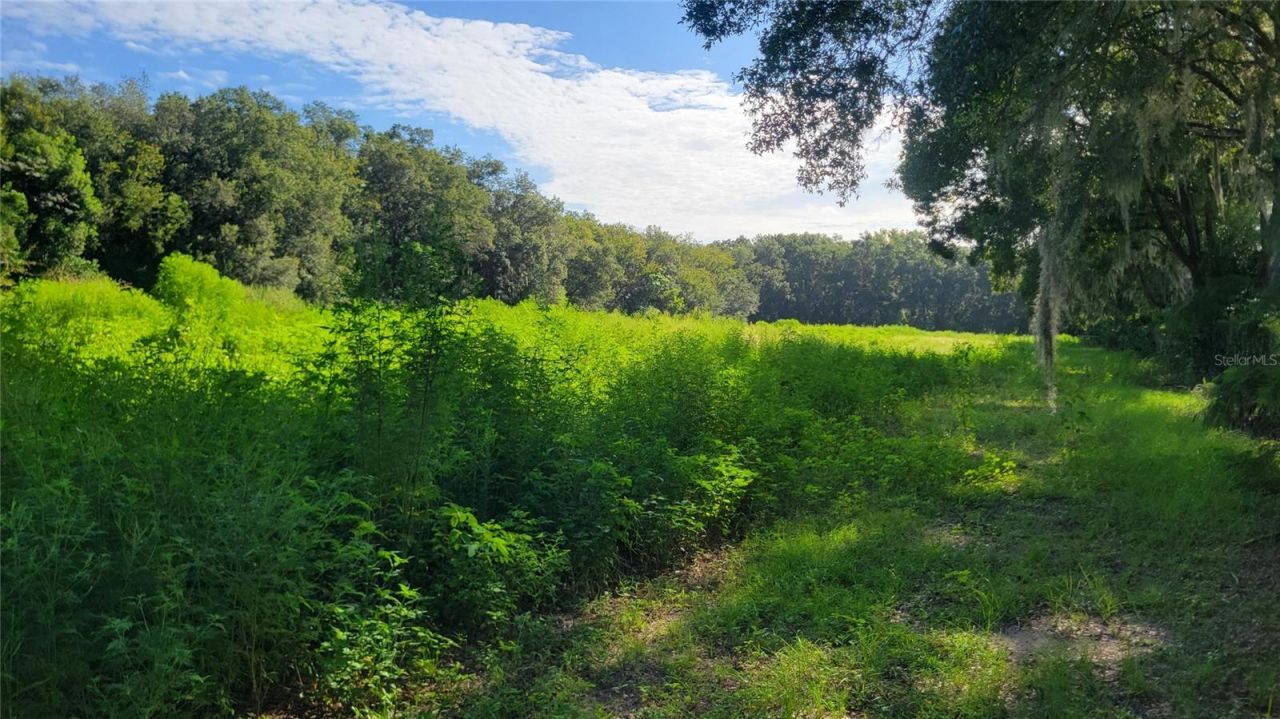 1521 NW 27th Avenue, Ocala, FL 34475 Photo