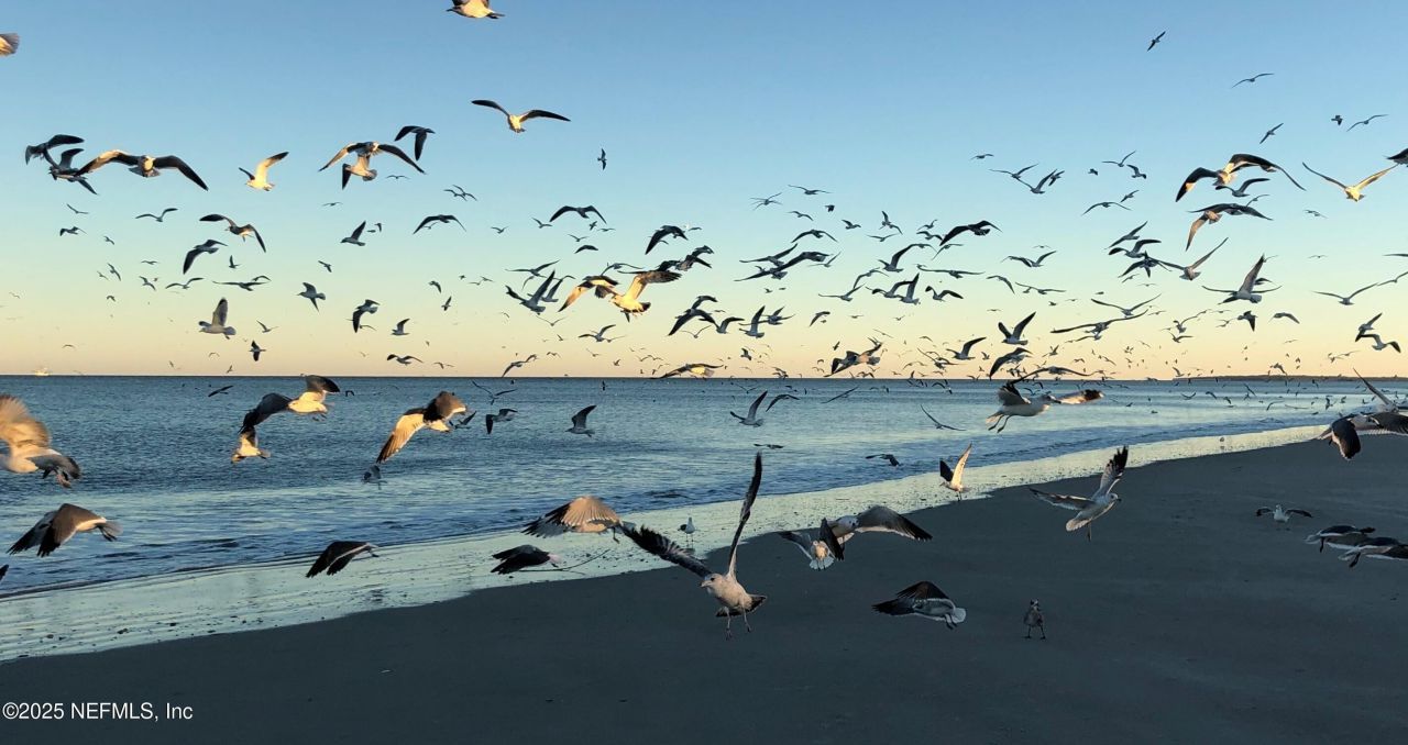 418 Beachside Place, Fernandina Beach, FL 32034 Photo