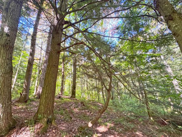 0 W Curleys BLVD, Paradise, MI 49768