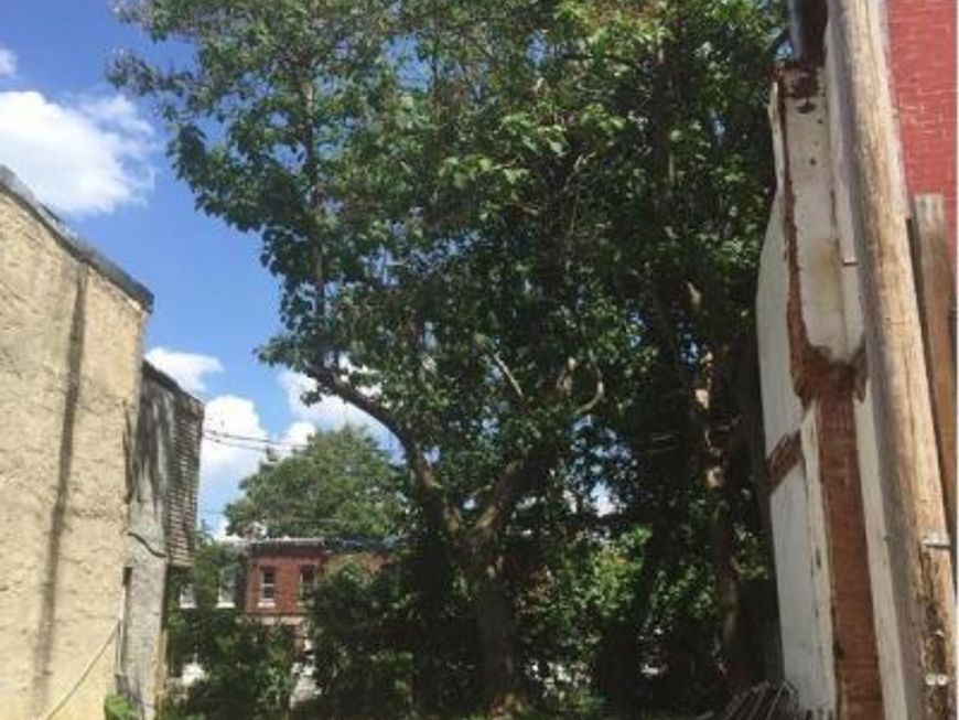 1815 N Ringgold Street, Philadelphia, PA 19121 Main Photo