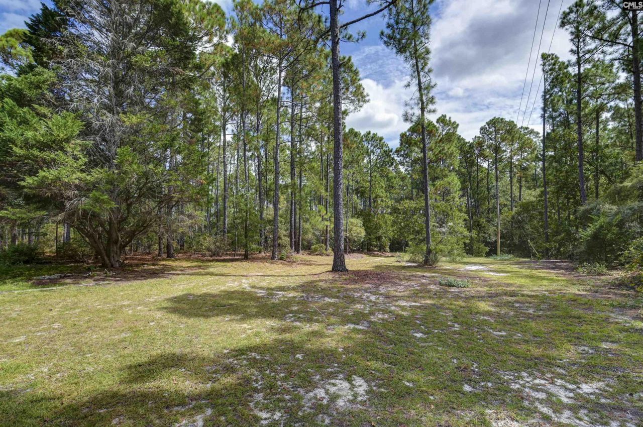 257 Rim Rock Road Photo 37