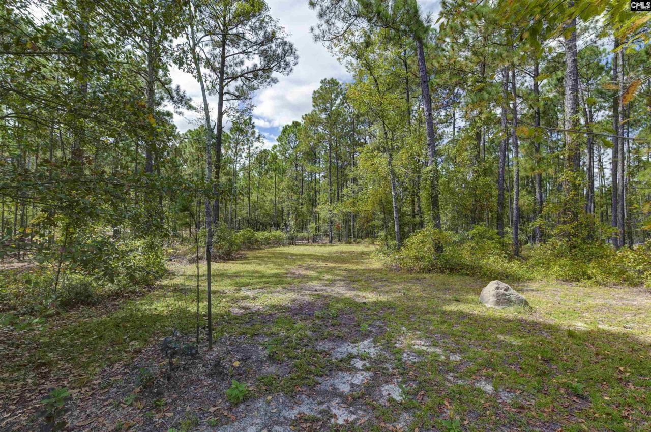 257 Rim Rock Road Photo 38