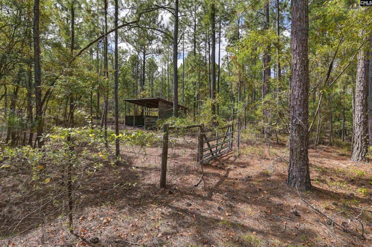 257 Rim Rock Road Photo 39