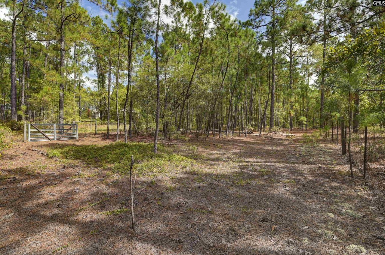 257 Rim Rock Road Photo 40