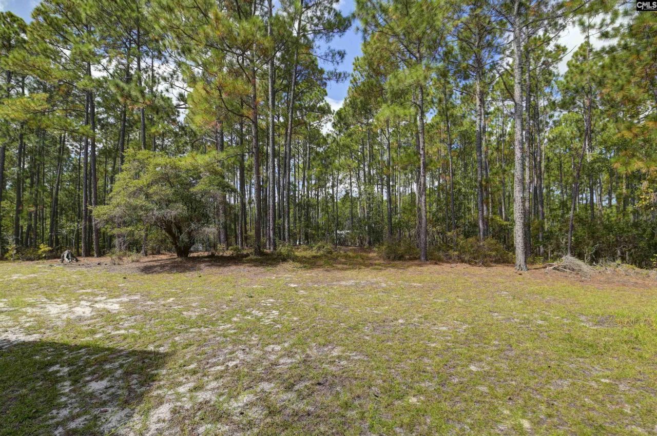 257 Rim Rock Road Photo 43