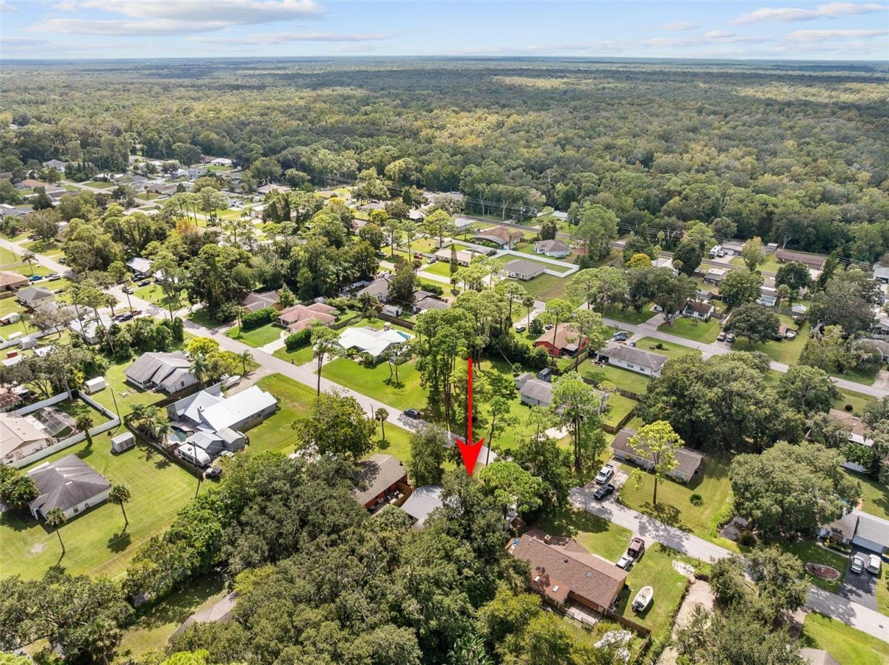 2627 Unity Tree Drive, Edgewater, FL 32141 Photo