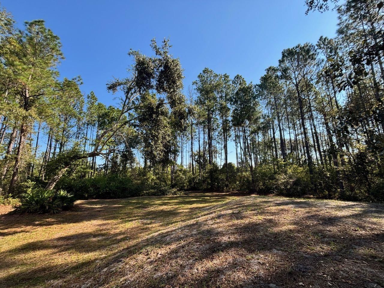 1570 SW Wabasso Terrace, Greenville, FL 32331 Photo