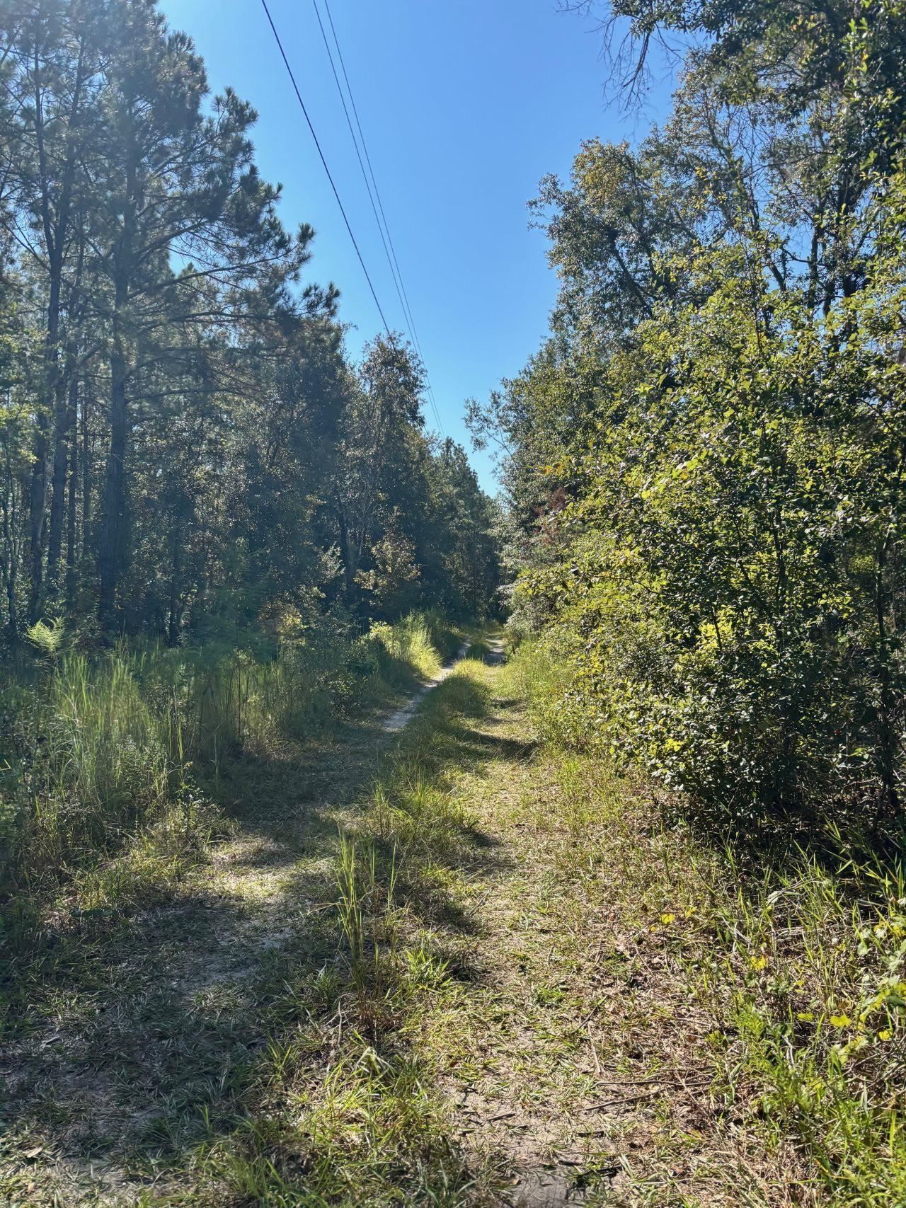 1570 SW Wabasso Terrace, Greenville, FL 32331 Photo