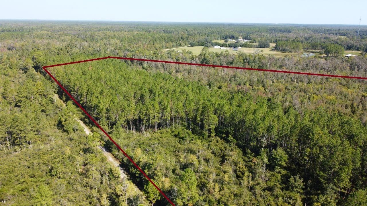 1570 SW Wabasso Terrace, Greenville, FL 32331 Photo