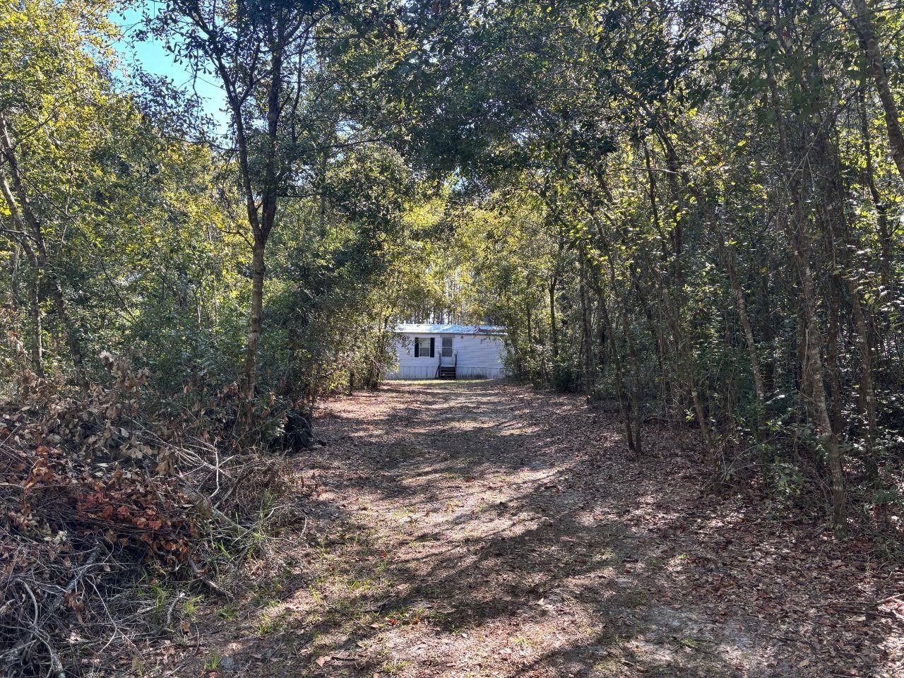 1570 SW Wabasso Terrace, Greenville, FL 32331 Photo