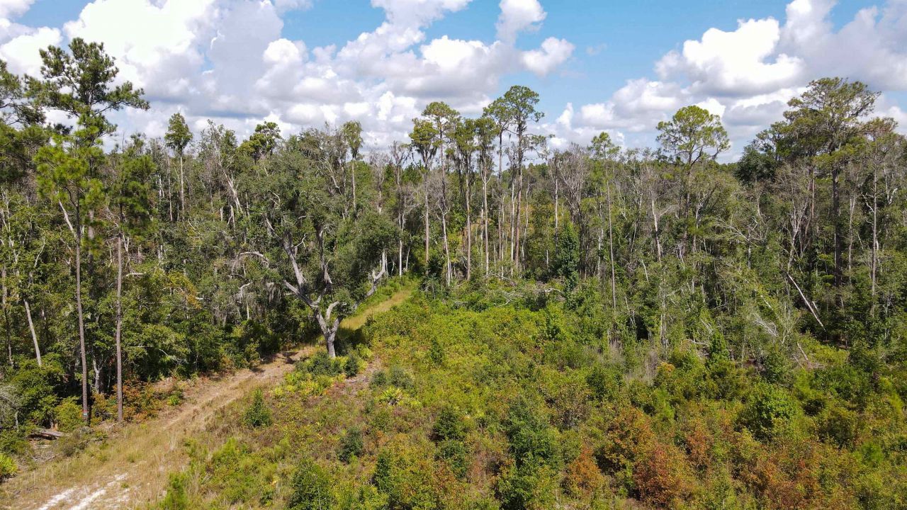 Tbd NE 36th Drive Drive , Jasper, FL 32052 Photo