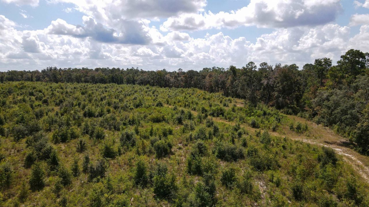Tbd NE 36th Drive Drive , Jasper, FL 32052 Photo