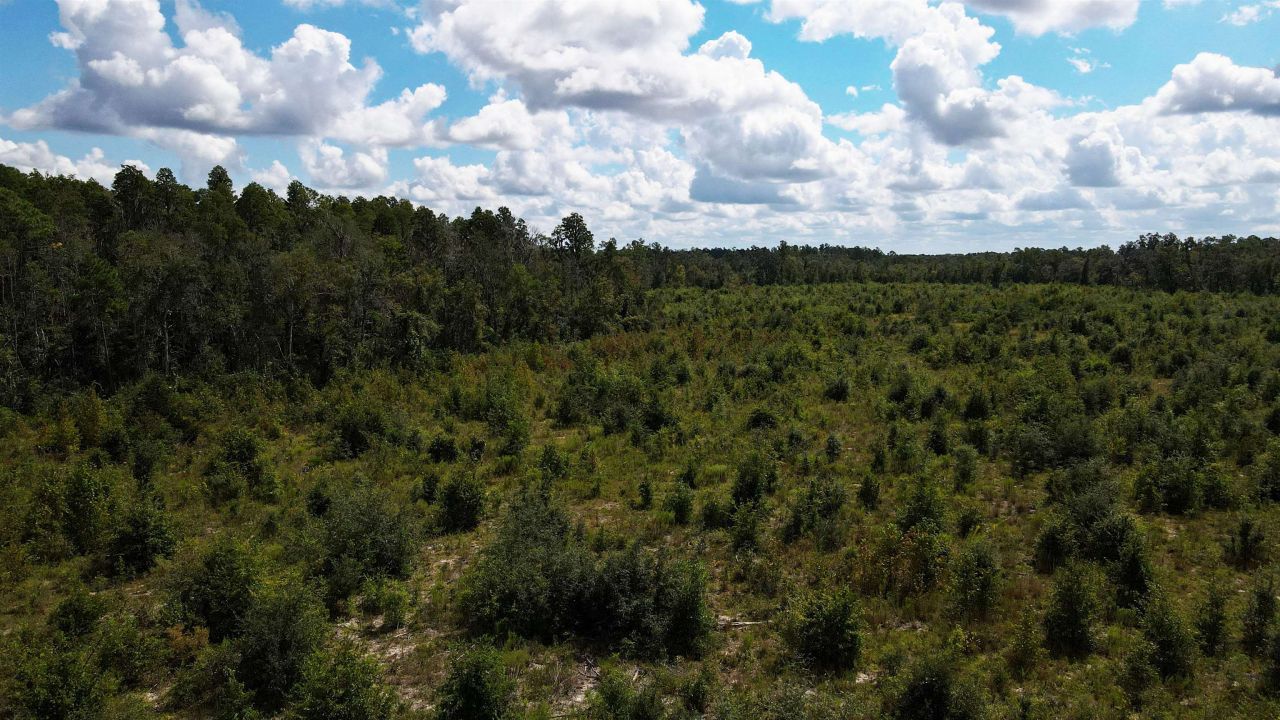 Tbd NE 36th Drive Drive , Jasper, FL 32052 Photo