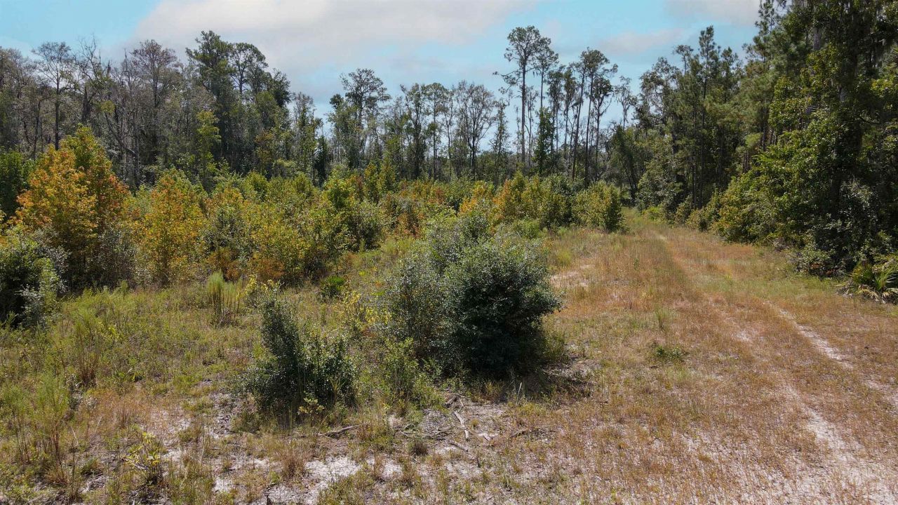 Tbd NE 36th Drive Drive , Jasper, FL 32052 Photo