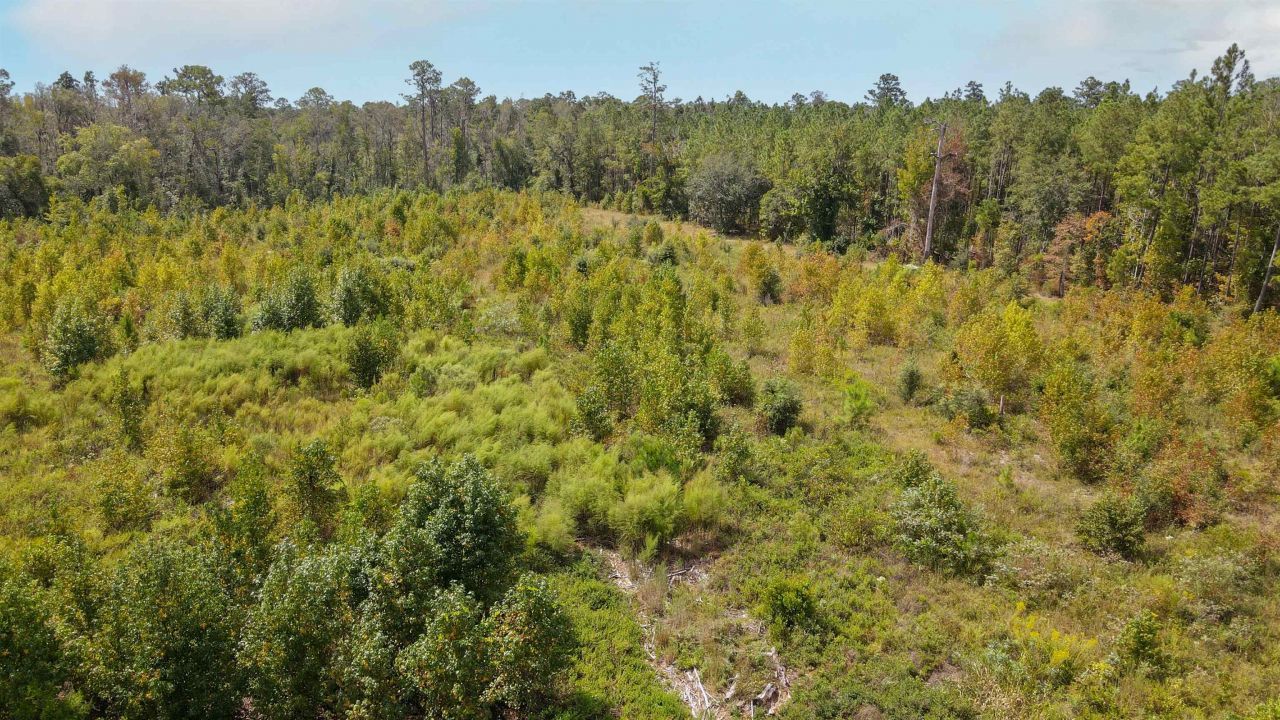 Tbd NE 36th Drive Drive , Jasper, FL 32052 Photo