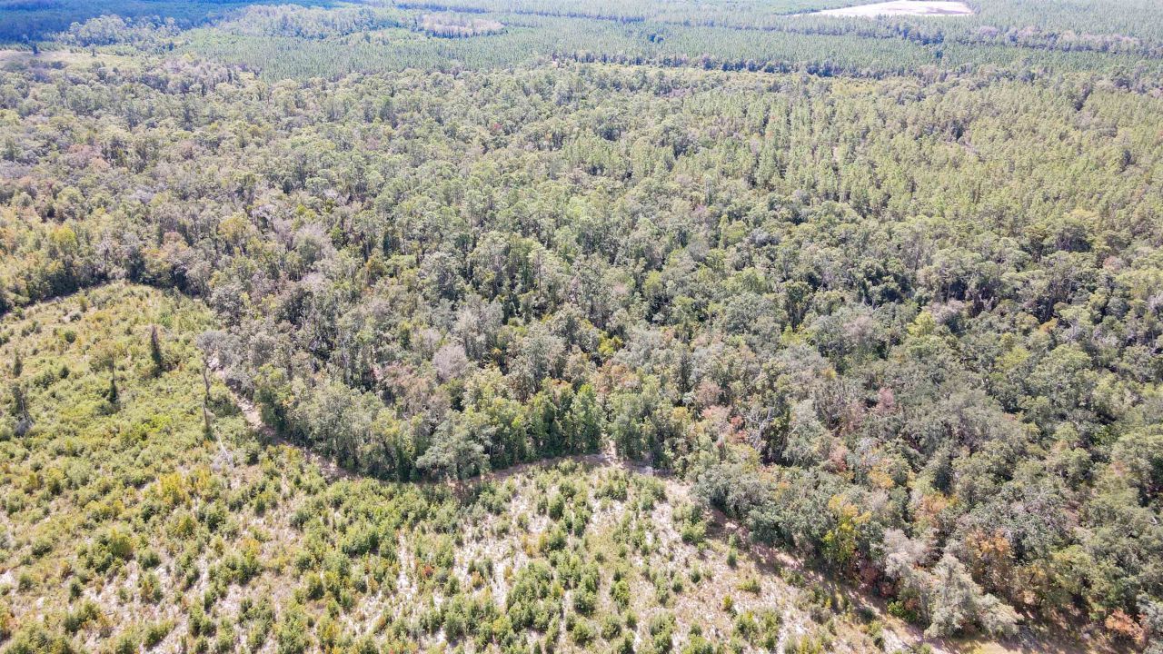 Tbd NE 36th Drive Drive , Jasper, FL 32052 Photo