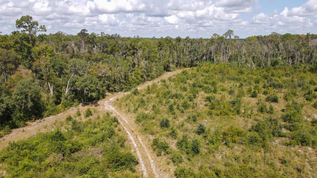 Tbd NE 36th Drive Drive , Jasper, FL 32052 Photo